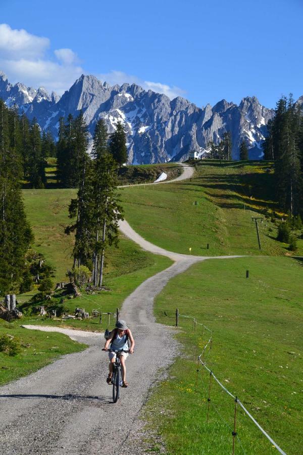 Pension Edelweiss Top21 Gosau Luaran gambar